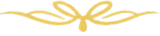 icon5
